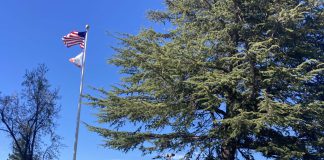 El Camino Health Los Gatos