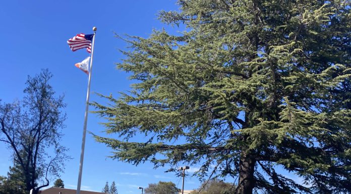 El Camino Health Los Gatos