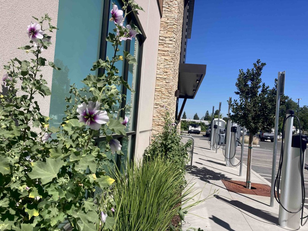 flowers and chargers