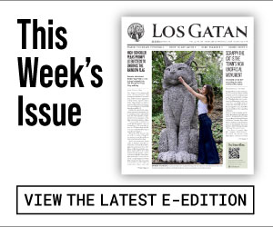 los gatan e-edition