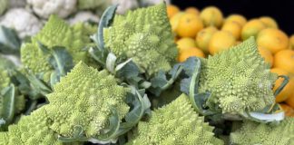 fractal produce