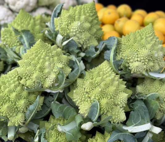 fractal produce