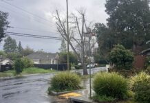 Farley Road intersection