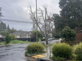 Opinion: Farley Road is ‘a disaster waiting to happen’ Farley Road intersection