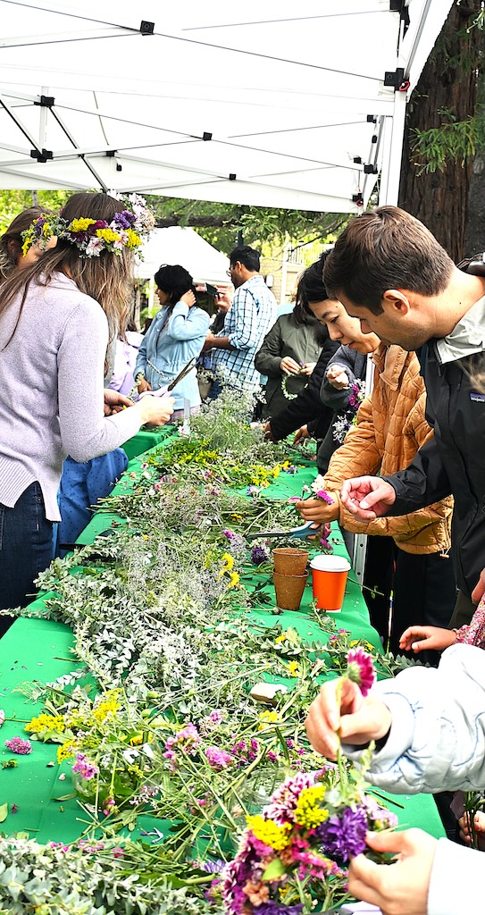 making garlands in Los Gatos