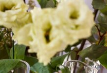 Simon Pearce product with flowers