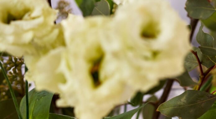 The Butter Paddle is expanding its collection of American-made brands Simon Pearce product with flowers