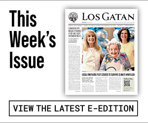 los gatan e-edition