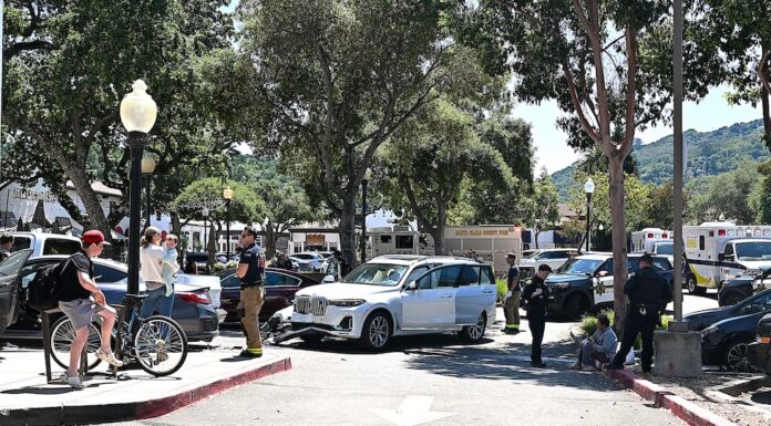 Man reported with a face mask, machete and spike at Safeway on N. Santa Cruz Ave. (Police Blotter, May 3-9) Old Town crash