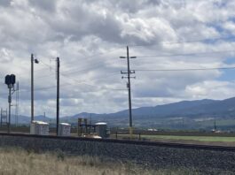 rural telephone poles