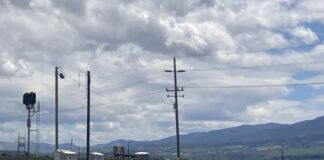 rural telephone poles