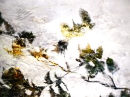 The exhilarating exhibitions at our ‘New Museum’ salon jane art