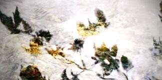 salon jane art