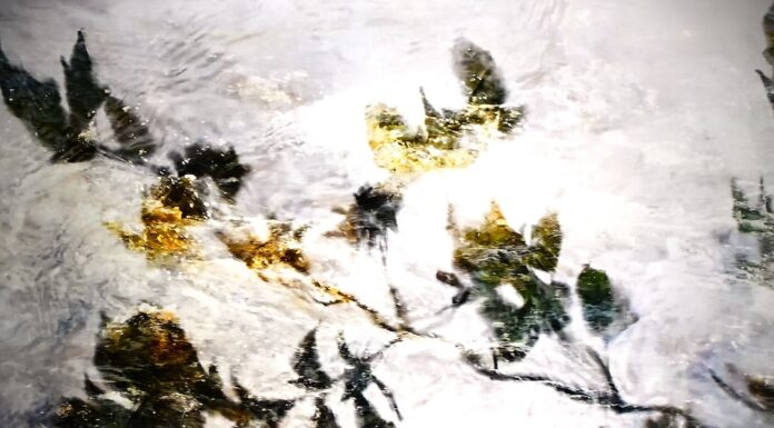 salon jane art