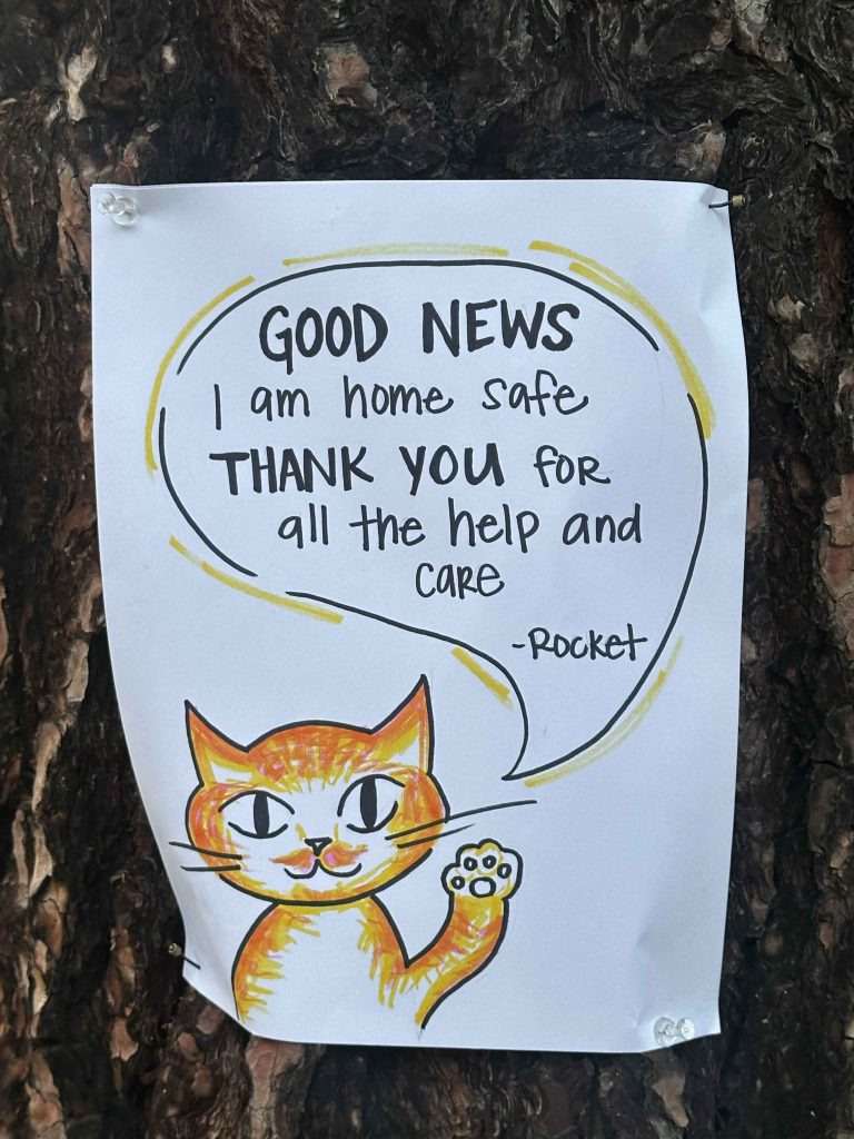 thanks says the cat