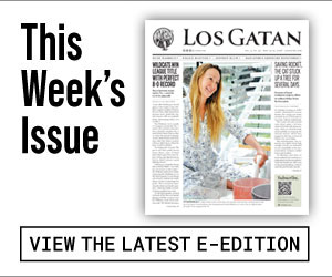 los gatan e-edition