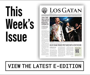 los gatan e-edition