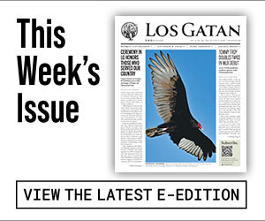 los gatan e-edition