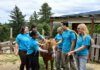 LG Farms counselors with a pony