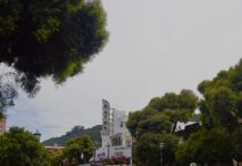 Local shops adapt to stay alive in Los Gatos downtown Los Gatos