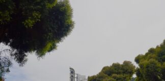 downtown Los Gatos