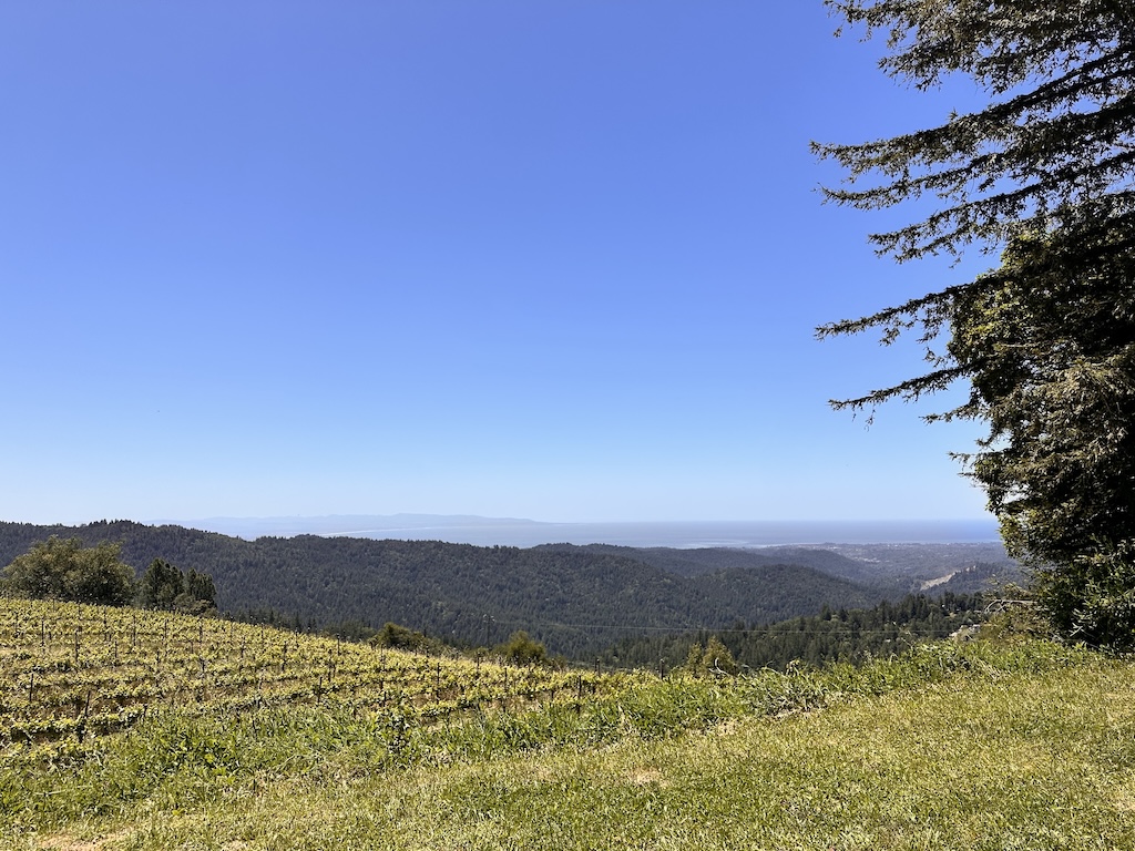 LAGO LOMITA VINEYARD view