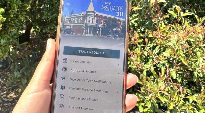 MyLosGatos311