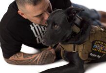 Valle Monte League expands mental health network Operation Freedom Paws