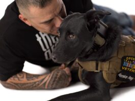 Valle Monte League expands mental health network Operation Freedom Paws