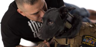 Operation Freedom Paws