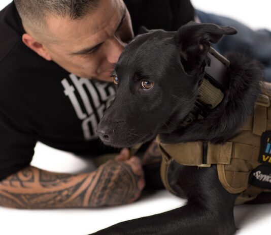 Operation Freedom Paws