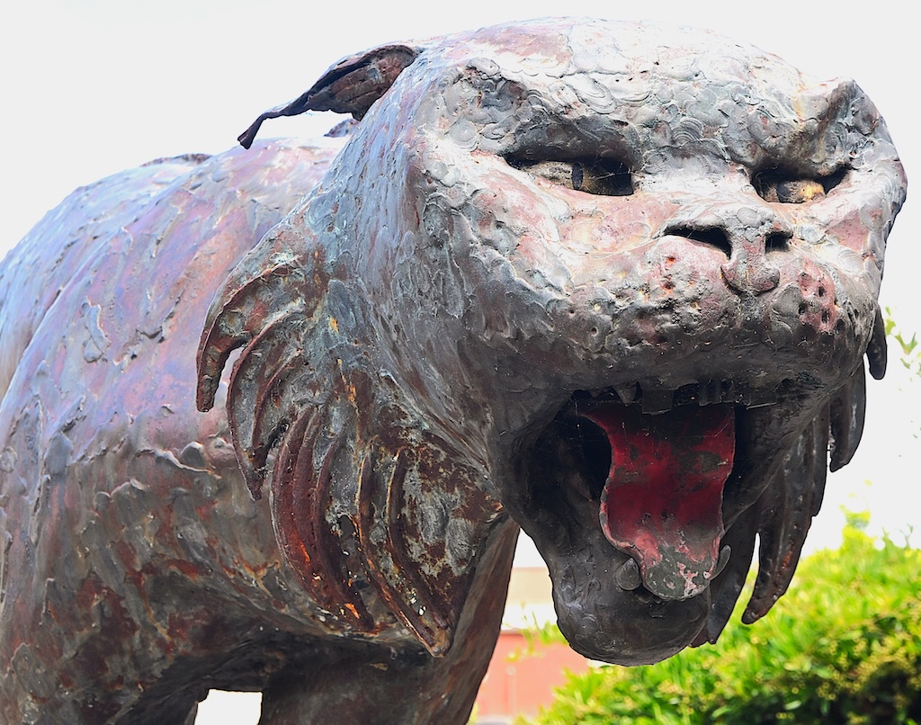 wild cat statue