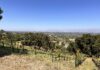 Soil health and vineyard maintenance
