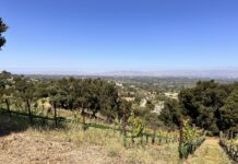 Soil health and vineyard maintenance