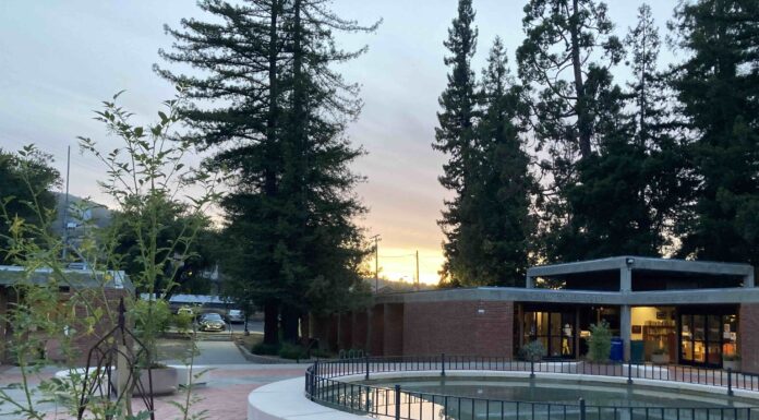 sunset in Los Gatos at the Civic Center