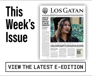 los gatan e-edition