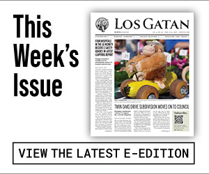 los gatan e-edition