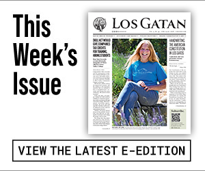 los gatan e-edition