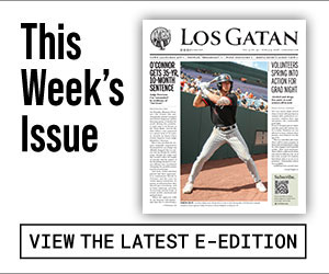los gatan e-edition