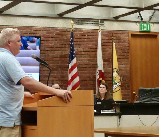 178 Twin Oaks Dr. subdivision moves on to Council Jim Foley speaks to Planning Commission