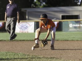 Titletown! Los Gatos Little League 11U, 12U and Intermediate 13U All Star teams crowned champions