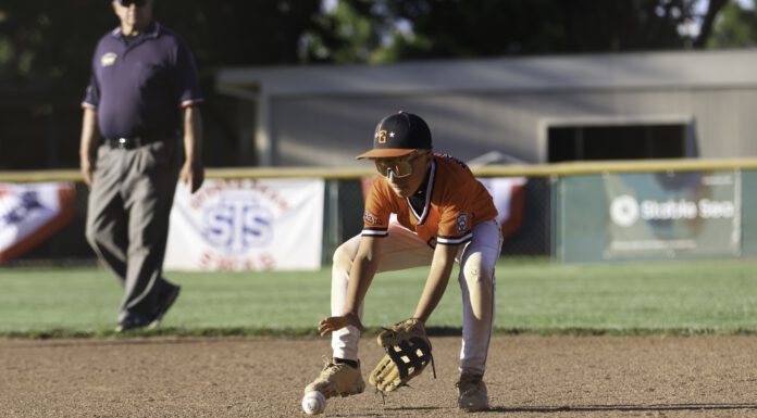 Titletown! Los Gatos Little League 11U, 12U and Intermediate 13U All Star teams crowned champions