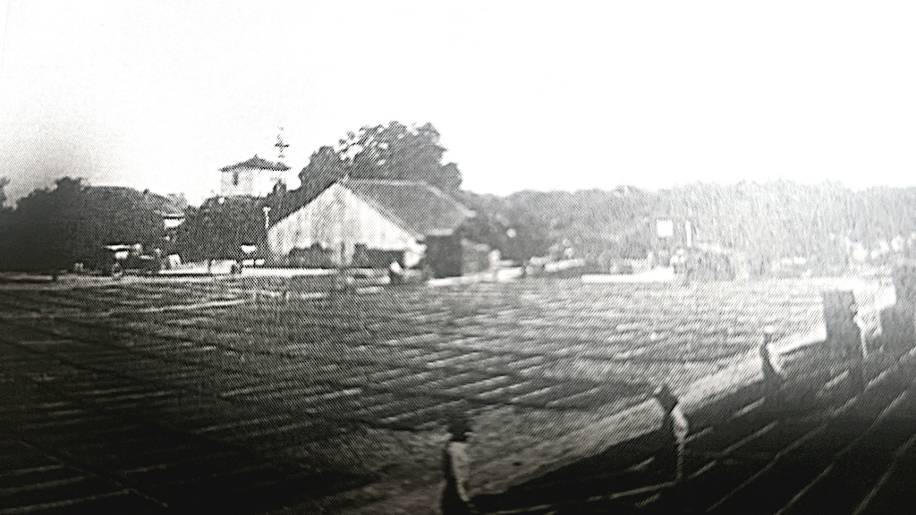 orchards b n w photo