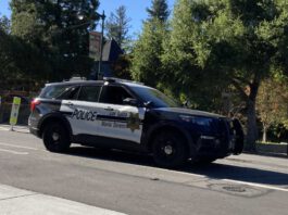 Subject reportedly watering marijuana plants outside his car at CVS Pharmacy on Blossom Hill Road (Police Blotter, June 21-27) police SUV