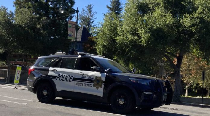 Subject reportedly watering marijuana plants outside his car at CVS Pharmacy on Blossom Hill Road (Police Blotter, June 21-27) police SUV
