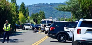 biker hurt in traffic accident