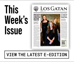 los gatan e-edition