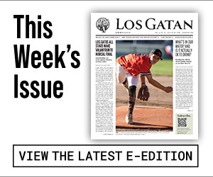 los gatan e-edition