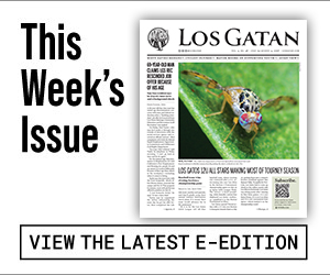 los gatan e-edition