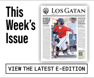 los gatan e-edition